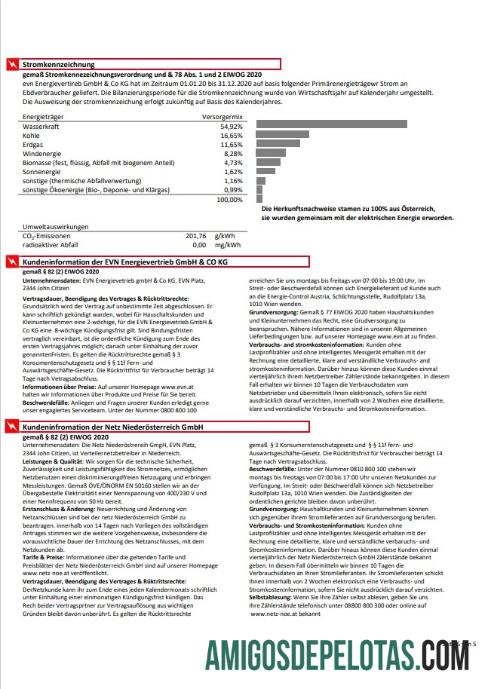Conta de serviços públicos de eletricidade EVN da Áustria 5 amostra